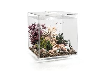 BiOrb Cube 60 LED transparant