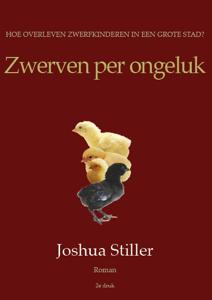 Zwerven per ongeluk (Paperback)