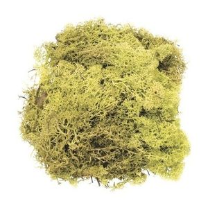 Decoratie mos lichtgroen 50 gram   -