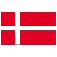 Landen thema vlag Denemarken 90 x 150 cm feestversiering