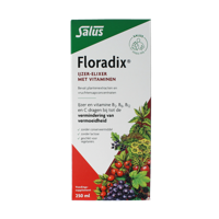 Floradix ijzer elixer 250 Milliliter
