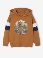 Sweater met capuchon met geplaatste print pecannoot