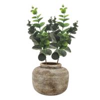 Kunstbloem/kunsttak Eucalyptus Bella - 2x - 38 cm - groen - kunst zijdebloemen