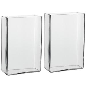 Hoge vaas transparant glas - 2x - 20 x 10 x 30 cm - Accubakken - Glazen vazen - Woonaccessoires