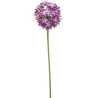 Allium/Sierui kunstbloem - losse steel - paars - 60 cm - Natuurlijke uitstraling - thumbnail