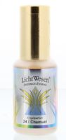 Lichtwesen Chamuel geurspray (30 ml) - thumbnail