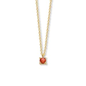 Ketting Geboortesteen Januari Granaat rood geelgoud 40 - 42 - 44 cm