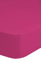 Good Morning hoeslaken - thumbnail