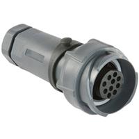 Bulgin PXP7011/06S/ST/0709 Ronde connector Koppeling, recht Totaal aantal polen: 6 Serie (ronde connectoren): Buccaneer 7000 1 stuk(s)