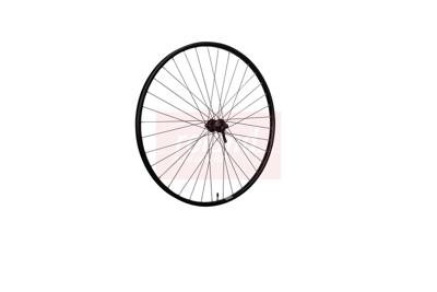 Roland voorwiel 28" ryde rival21 hbm5100