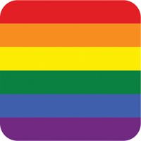 25x Rainbow vlag print bierviltjes - thumbnail