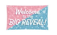 Gevelvlag &apos;Welcome&apos; Gender Reveal (150x90cm) - thumbnail