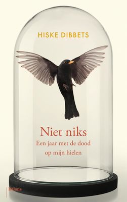 Niet niks - Hiske Dibbets - ebook