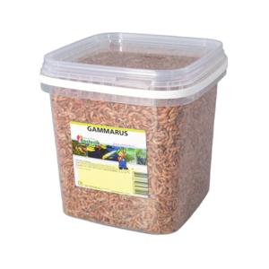 Gammarus 8 mm 2.5 liter - Suren collection