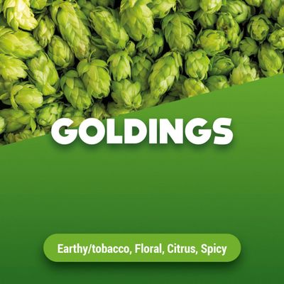 Hopbellen Goldings 2024 5 kg