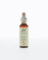 Rock rose/zonneroosje 20 Milliliter