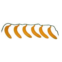 Hawaii tropische verkleedaccessoire - Bananen riem - 94 cm - rokje   -