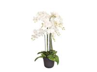 Orchidee kunstplant 9-tak 110 cm, wit - Buitengewoon de boet