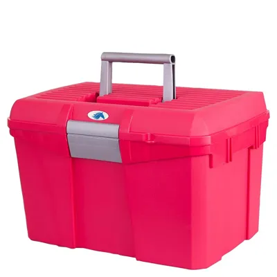 BR Poetsbox Carlo II roze