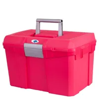 BR Poetsbox Carlo II roze