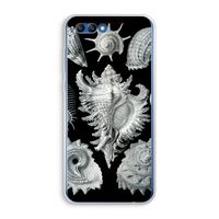 Haeckel Prosobranchia: Honor 10 Transparant Hoesje