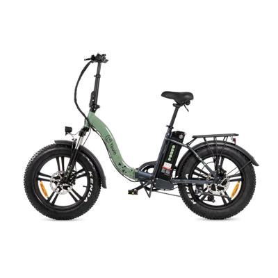 Elektrische Fiets Youin PORTO II Groen 250 W
