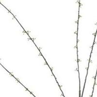 Spring seeded spray green 170 cm kunstbloem Erutan Avon - Erutan avon