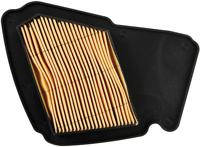 NYPSO Air filter