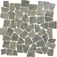 Terre d&apos;Azur Stone Palladiana Lava 30x30 cm