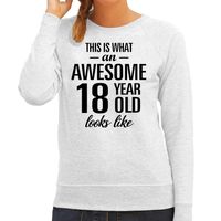 Awesome 18 year / 18 jaar cadeau sweater / trui grijs dames