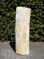 Fossiel hout PU-20, 61 cm