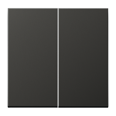 Jung LS990 drukknop serie voor serieschakelaar antraciet
