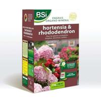 BSI - Hortensia/Rhododendron Meststof - Voor alle hortensia's / rododendrons - Langdurige werking - 4kg - Tot 40 m² - UAB