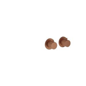 Crosswater MPRO Module Douchekraan - 2 functies - brons geborsteld PROMODDIVLBPBZ