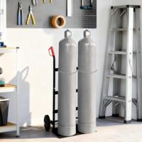 Handtrolley Zwart en Rood 63 x 43,5 x 110 cm Staal