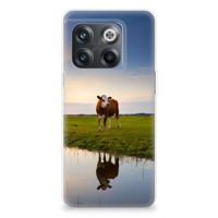 OnePlus 10T | TPU Hoesje | Koe