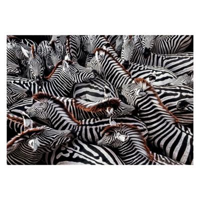Clementoni legpuzzel national geographics - zebra, 1000st.