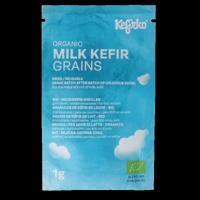 Kefirko Starter melk kefir korrels bio 1 Gram