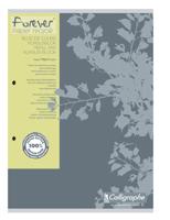 Cursusblk cf calligraphe a4 rt 5mm 2g 200pag gs