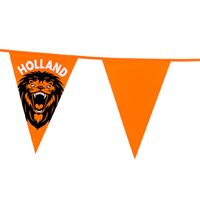 Vlaggenlijn XL - oranje met leeuw - 8 meter - 14 vlaggen - kunststof - Vlaggenlijnen - thumbnail