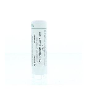 Lycopodium clavatum 30CH