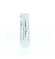 Lycopodium clavatum 30CH