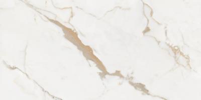 Dateg Calacatta Gold 60*120 glans Inhoud doo 1,44