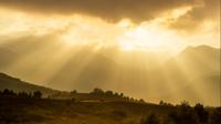 Vraag het Licht