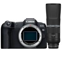 Canon EOS R8 + RF 800mm F/11.0 IS STM