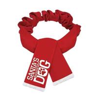 PLENTY GIFTS KERST SJAAL SANTA'S FAVORITE DOG ROOD