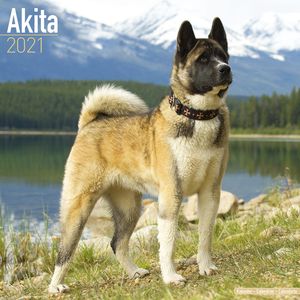 Kalender 2025 Akita