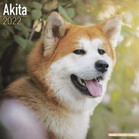 Kalender 2025 Akita