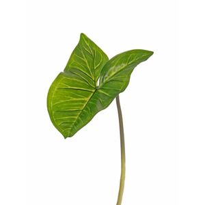 Bellatio Flowers &amp; Plants Kunstplant tak - bladgroen - Aronskelkblad - 53 cm   -