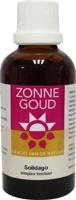 Zonnegoud Solidago simplex Zonnegoud Solidago simplex